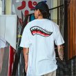 画像10: CAPTAIN STREET Shark Mouth Tシャツ WHITE キャプテンストリート (10)