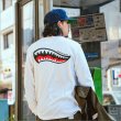 画像11: CAPTAIN STREET Shark Mouth L/S Tシャツ WHITE キャプテンストリート (11)